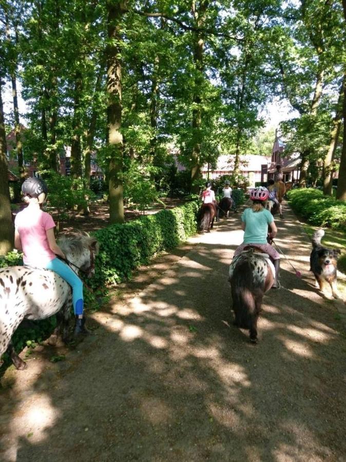 Große Ferienwohnung, auf Bauernhof mit Ponys und Pferden, ländlich und ruhig, Nähe Dümmer See Holdorf Exterior foto
