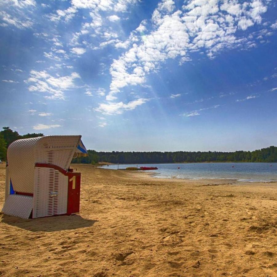 Große Ferienwohnung, auf Bauernhof mit Ponys und Pferden, ländlich und ruhig, Nähe Dümmer See Holdorf Exterior foto